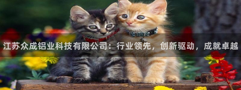 江苏众成铝业科技有限公司：行业领先，创新驱动，成就卓越