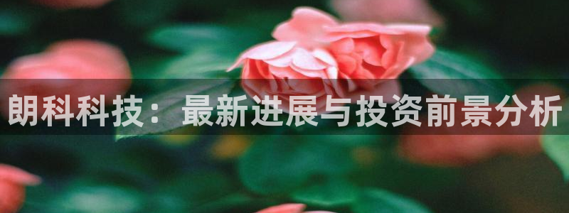 朗科科技：最新进展与投资前景分析