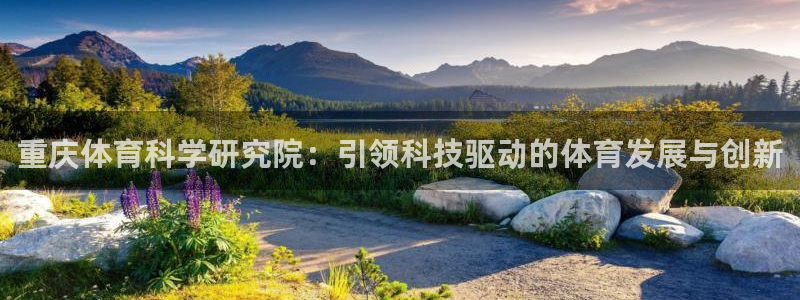 重庆体育科学研究院：引领科技驱动的体育发展与创新